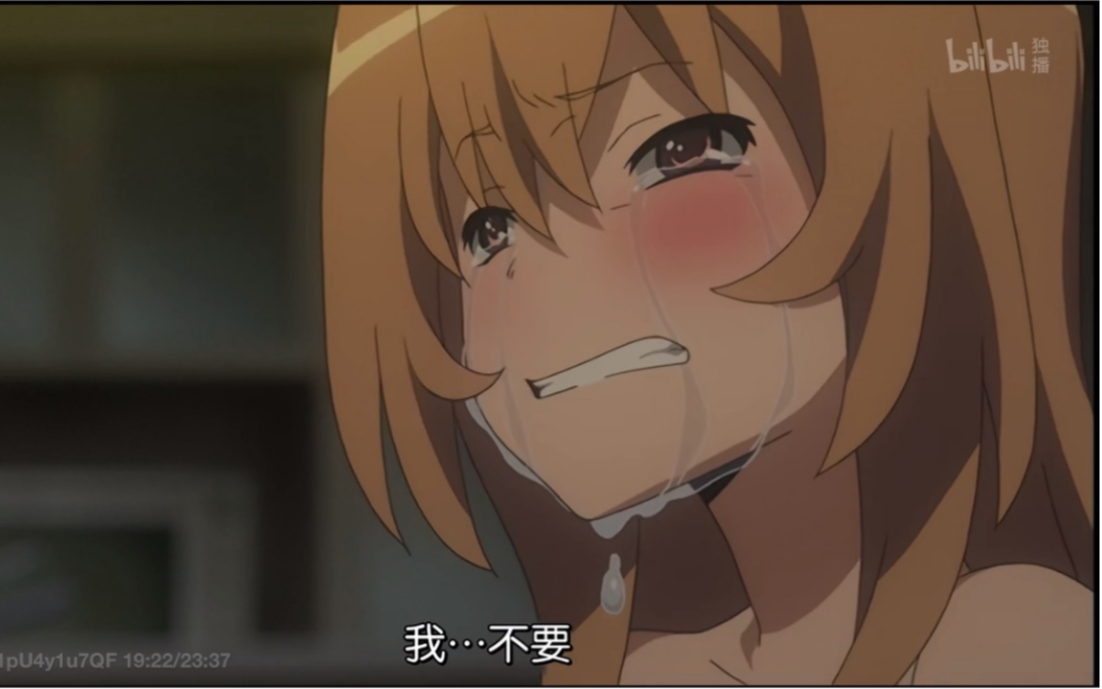 bgm响起时,你是不是也和逢坂大河一样流泪了呢?