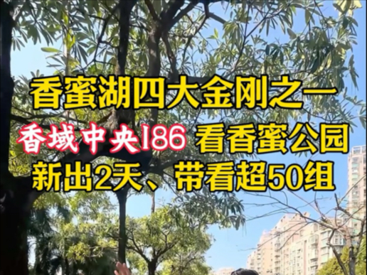 深圳香蜜湖4大豪宅!香域中央新出笋盘186平、2天带看50组!入住香域中央最好的机会!哔哩哔哩bilibili