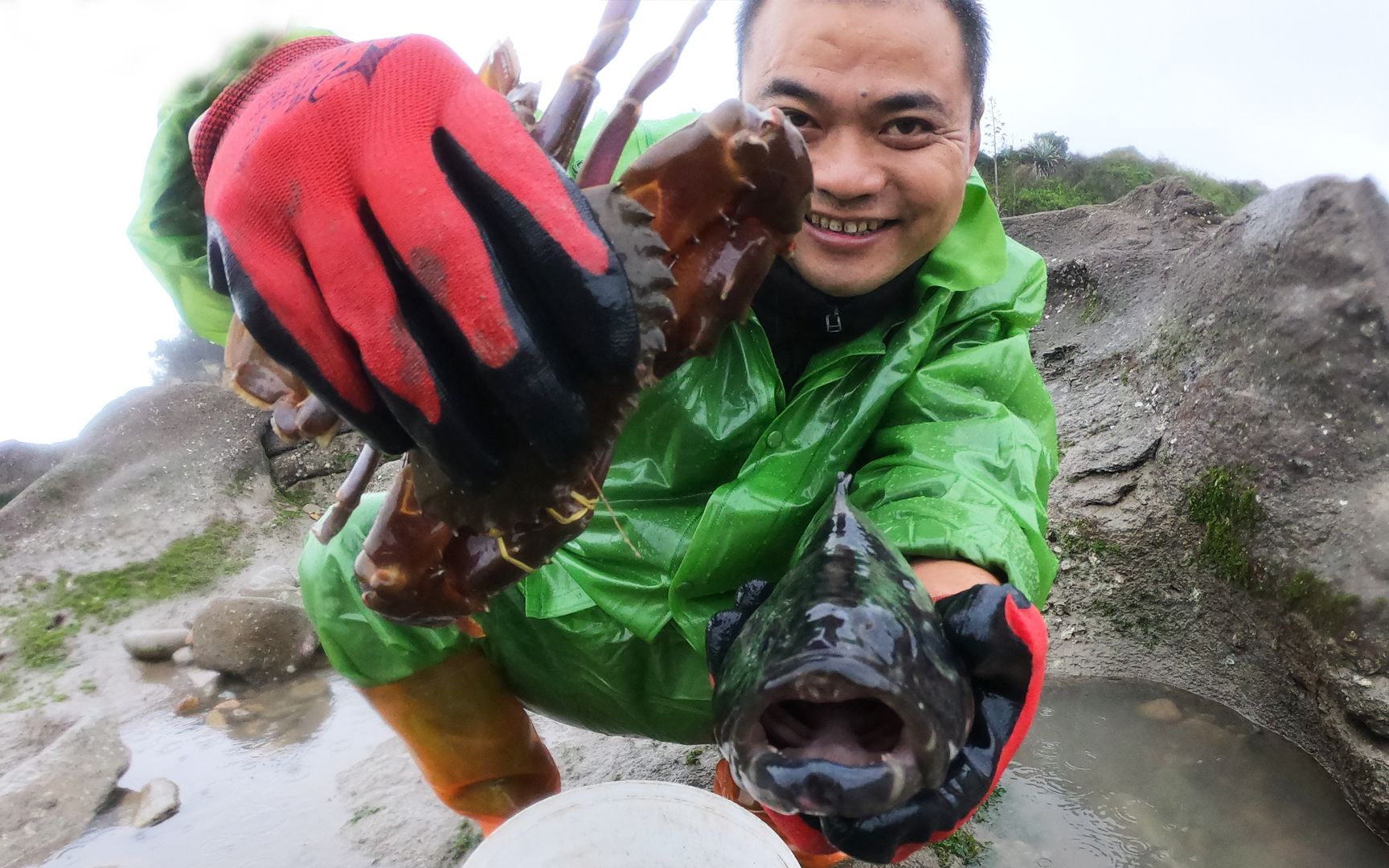 大熊冒着大雨赶海抽大潮水才能抽的水坑海货没人抢越抓越惊喜