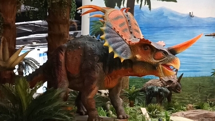 古生物博物馆的恐龙宝宝～