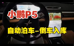 Download Video: 小鹏P5｜自动泊车｜倒车入库