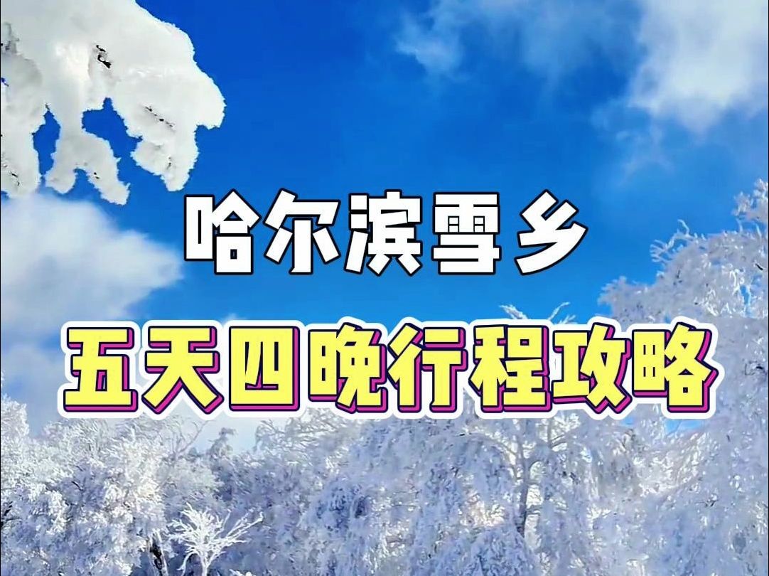 哈尔滨雪乡5天4晚行程攻略哔哩哔哩bilibili