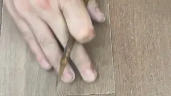 【修复技巧】木地板划痕瞬间消失！