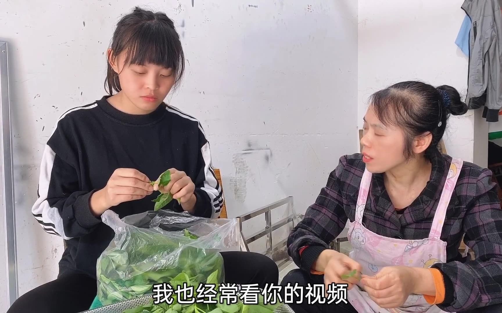 新媳妇变胖爱吃酸婆婆妈赶紧买鱼炖鸭做大餐这下圆子有口福