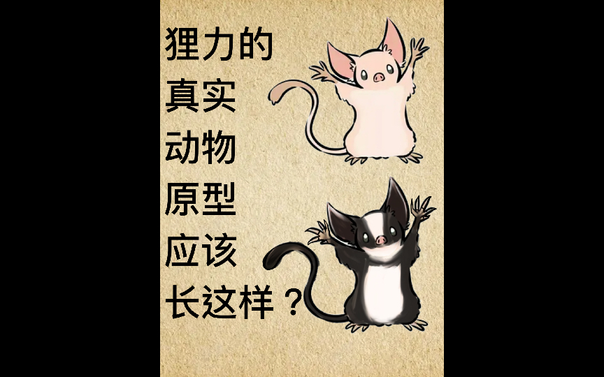 【脑洞绘画】(up原声版)寻找非人哉里的萌萌哒山海经神兽狸力真实动物