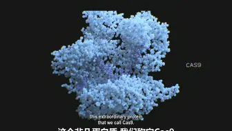 PBS Nova 人类本性(2020)水山汉化