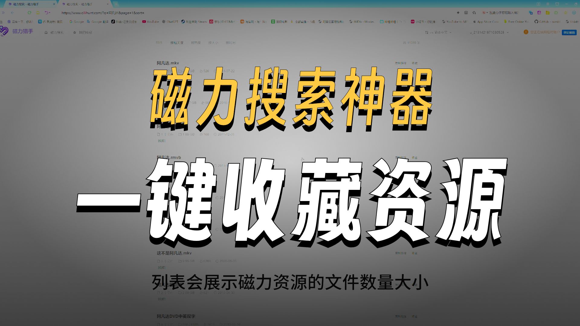磁力狗搜索注意事项_哪个磁力搜索器最好用?