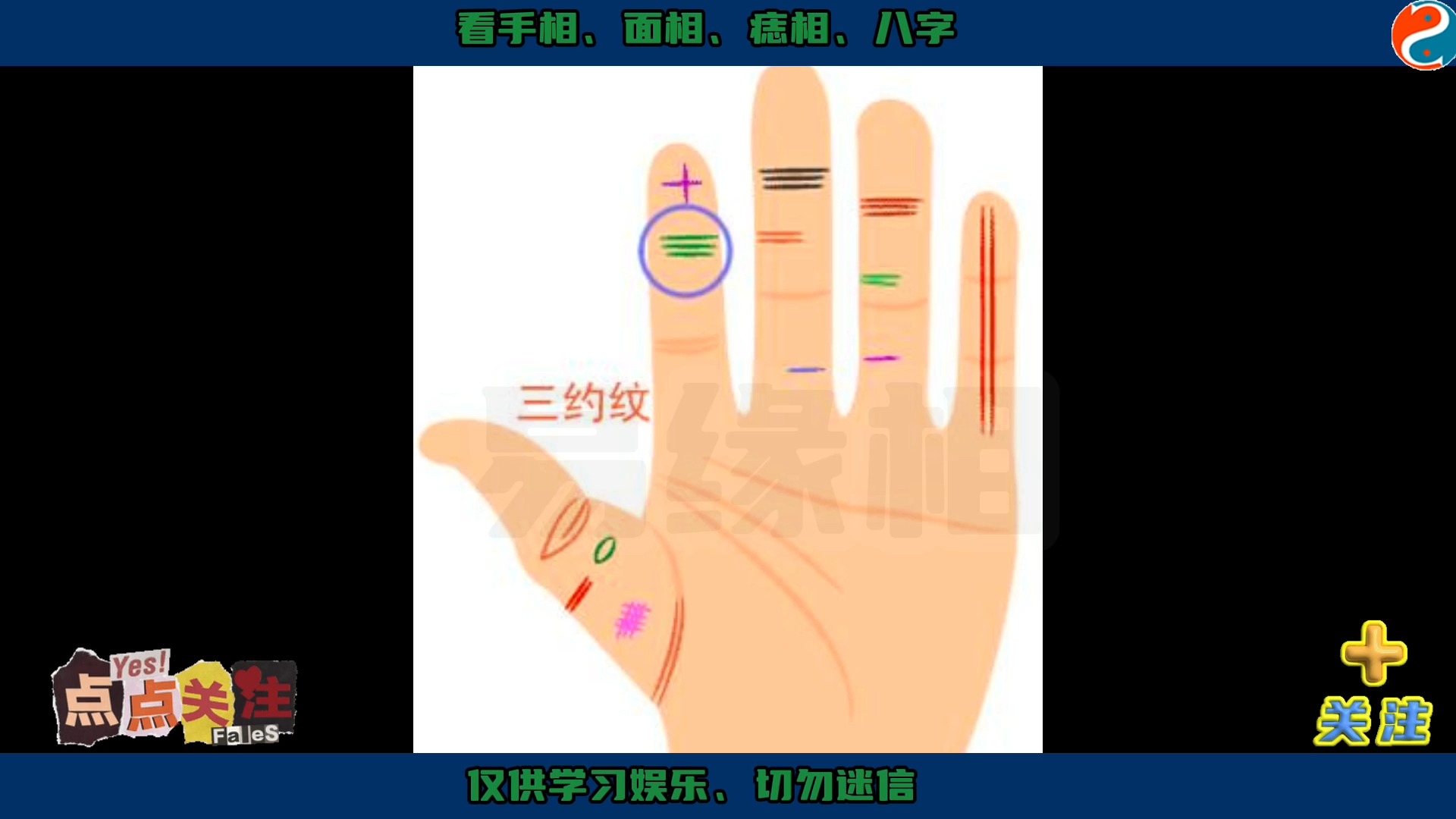 食指第一节节纹有三条或一条横纹「三约纹」的手相