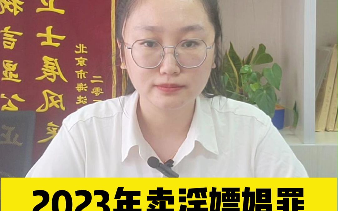 2023年卖淫嫖娼罪最新量刑标准哔哩哔哩bilibili