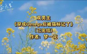 Télécharger la video: 双男主《穿成Omega后被猫标记了》已完结 作者：梦一花，主受 幻想空间 甜文 爽文 萌宠 ABO 轻松【推文】晋江