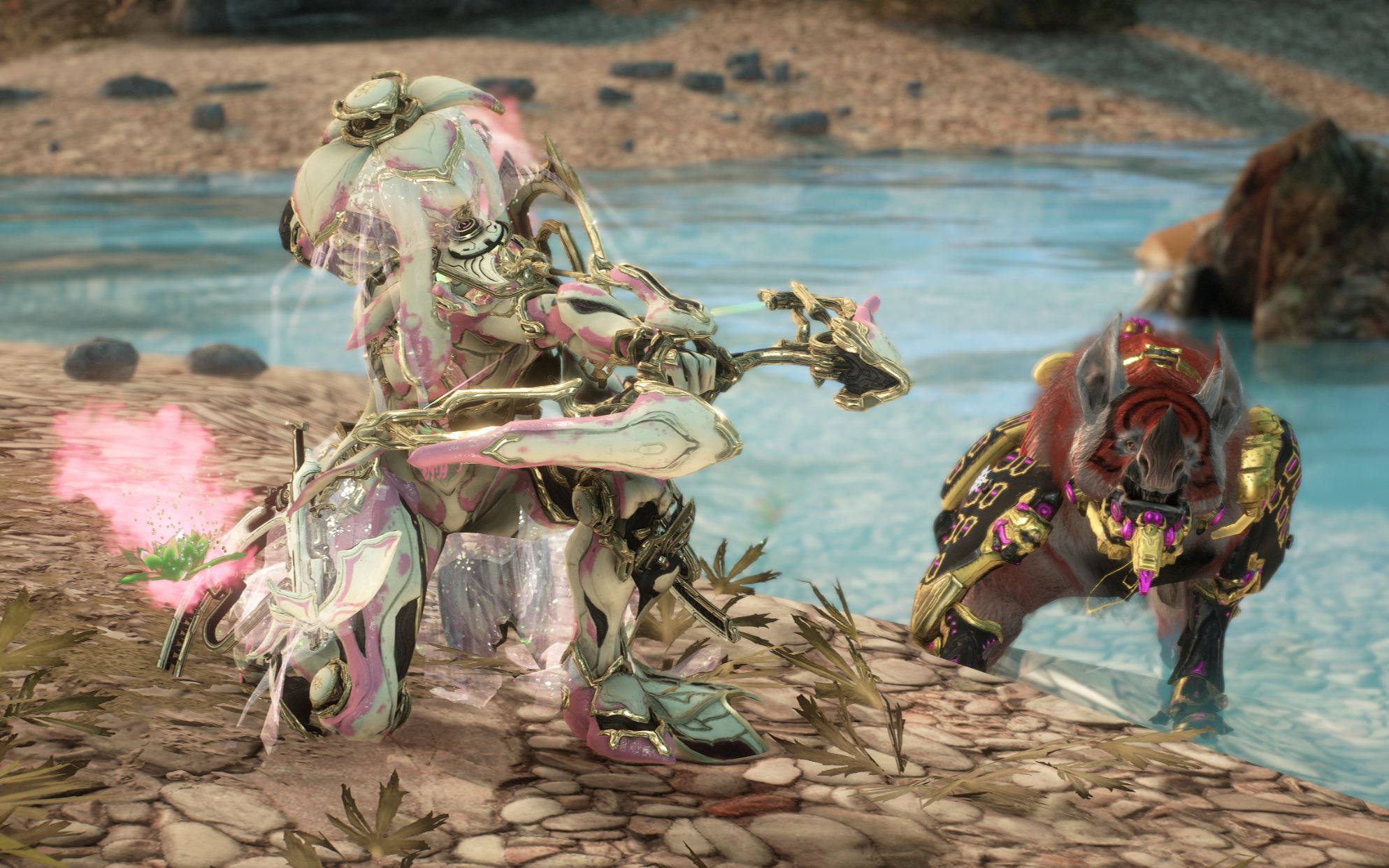 【warframe】弓妹与战刃,自动寻敌连环爆,队友都看傻了!