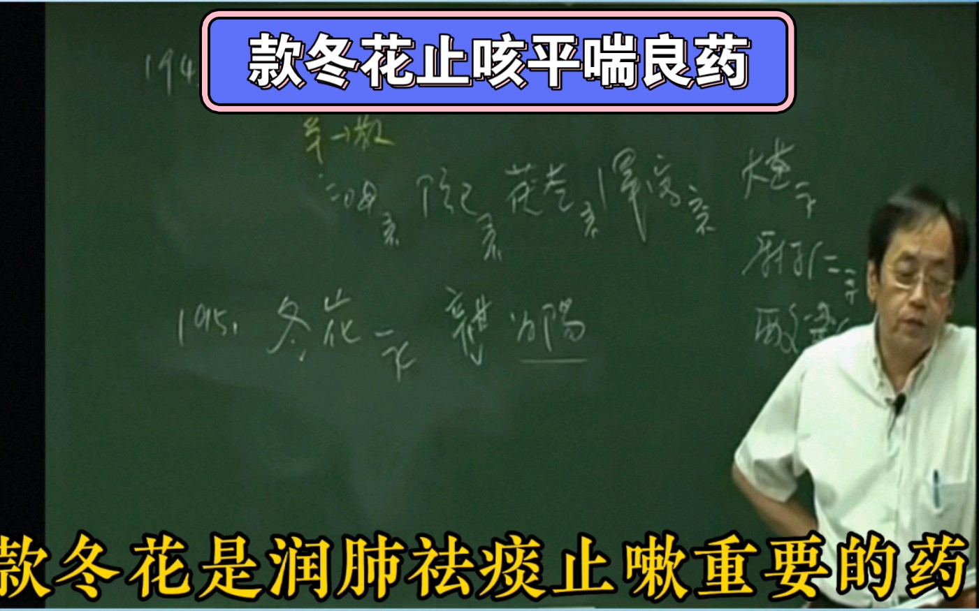 止咳平喘,中草药宝藏之~~款冬花哔哩哔哩bilibili