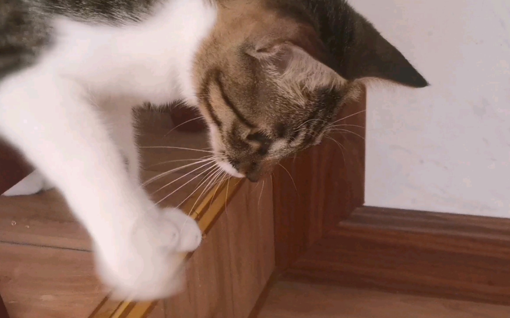 你喝水还把jio放进去是啥意思?