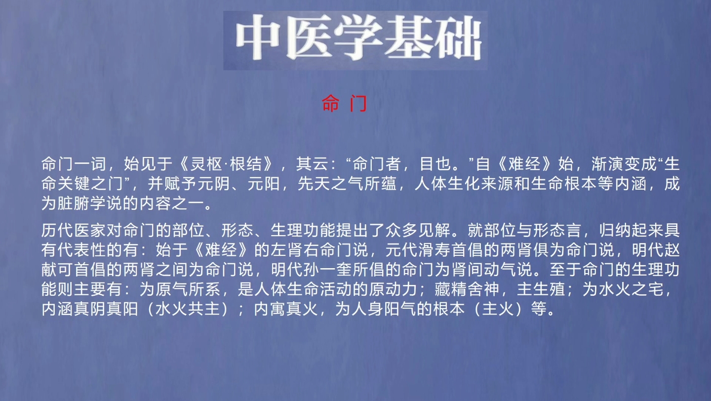 《中医学基础》之命门哔哩哔哩bilibili