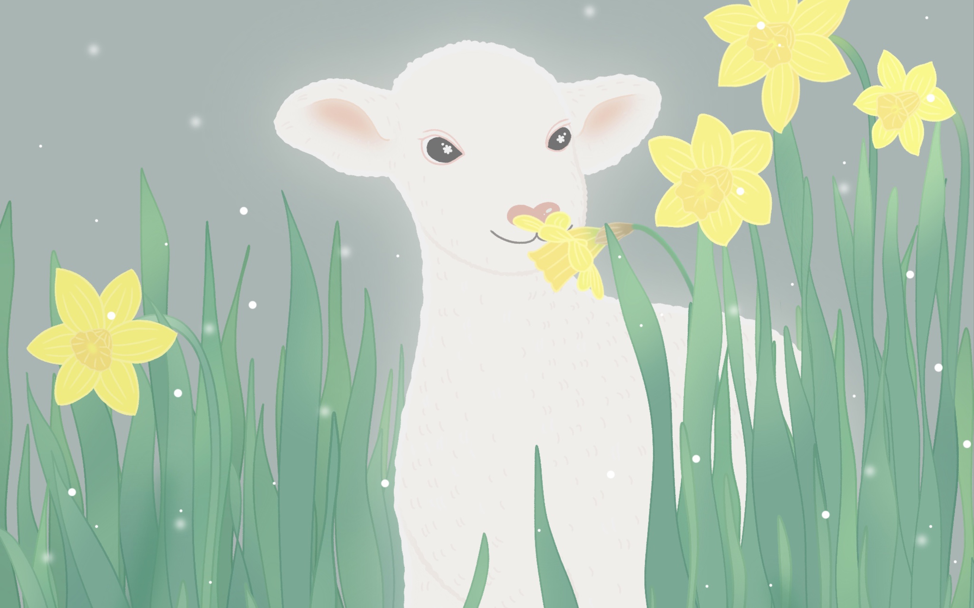 【procreate】一只可爱的羊咩咩