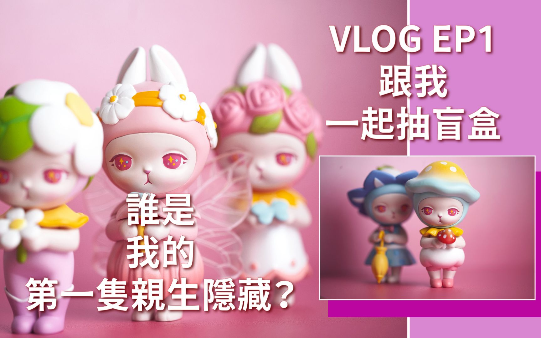 泡泡玛特 bunny 森林系列  pucky 毕奇 星座系列  nanci 今夕何夕