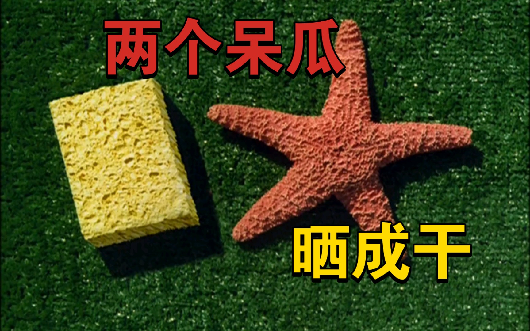 海绵宝宝海星干