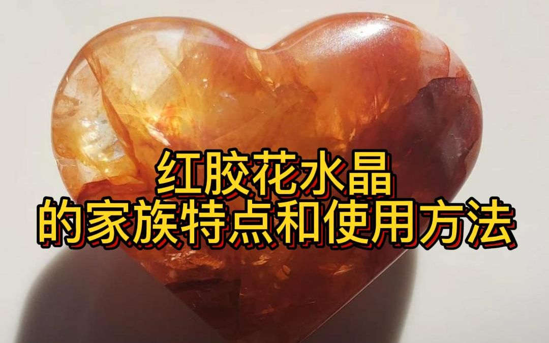 红胶花水晶家族的特点和使用方法