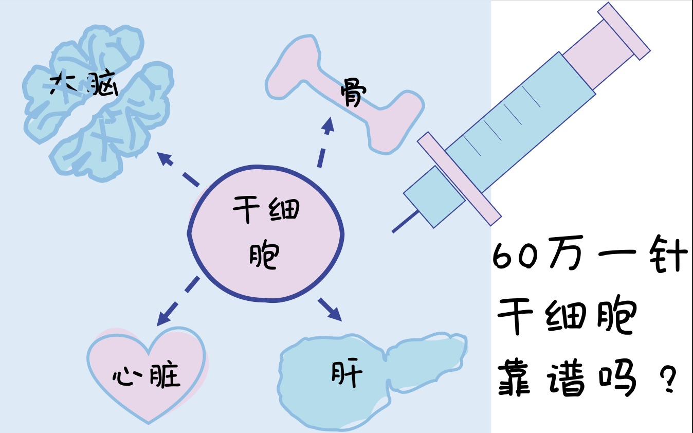 [博士后楼楼]科学三分钟六十万一针干细胞治疗,真的有用吗?哔哩哔哩bilibili