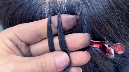 宁波微米羽毛接发只要1140包烫包染包全头,长度不限