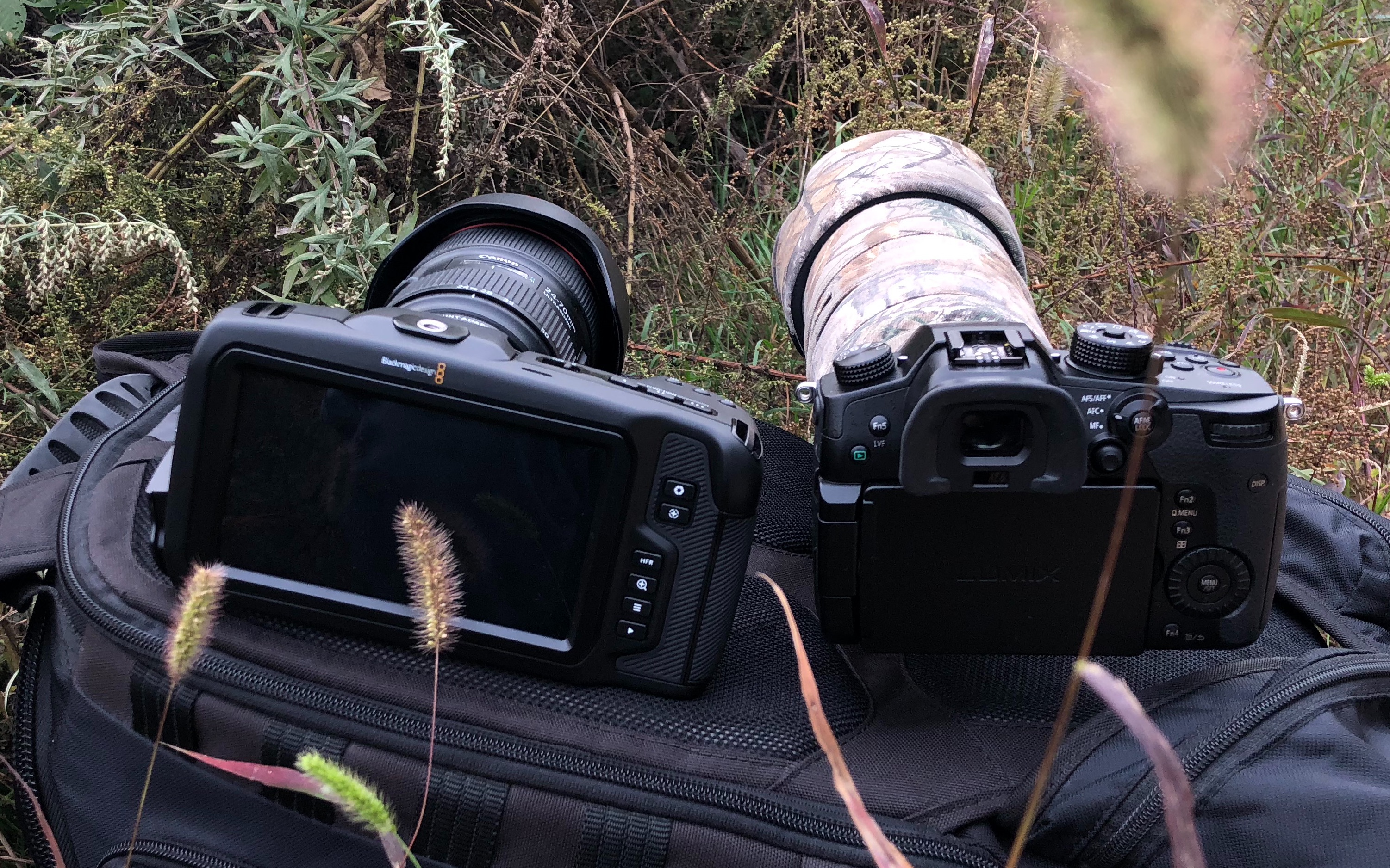 bmpcc4k野战拍摄测试稍用心的