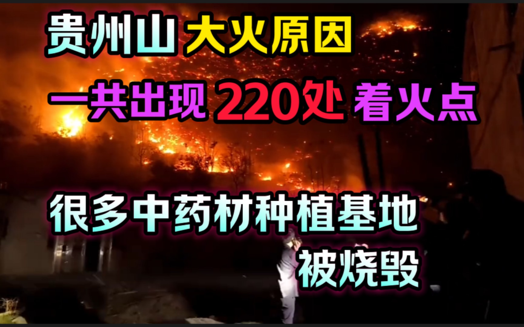 [图]贵州山 大火原因！居然出现“220”处着火点！很多中药材种植基地被烧毁！