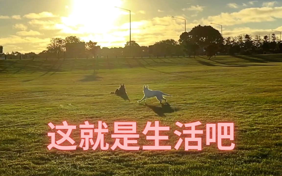 这就是所谓安逸的生活吧