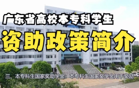 广东省本专科学生资助政策简介哔哩哔哩bilibili