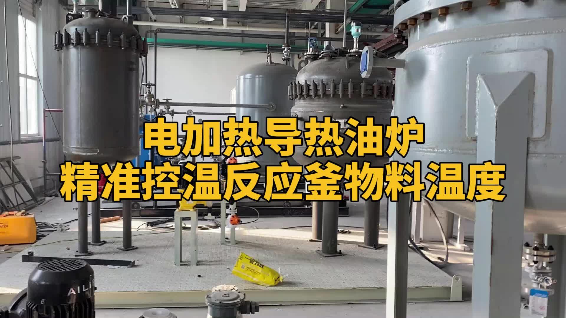 电加热导热油炉精准控温反应釜温度