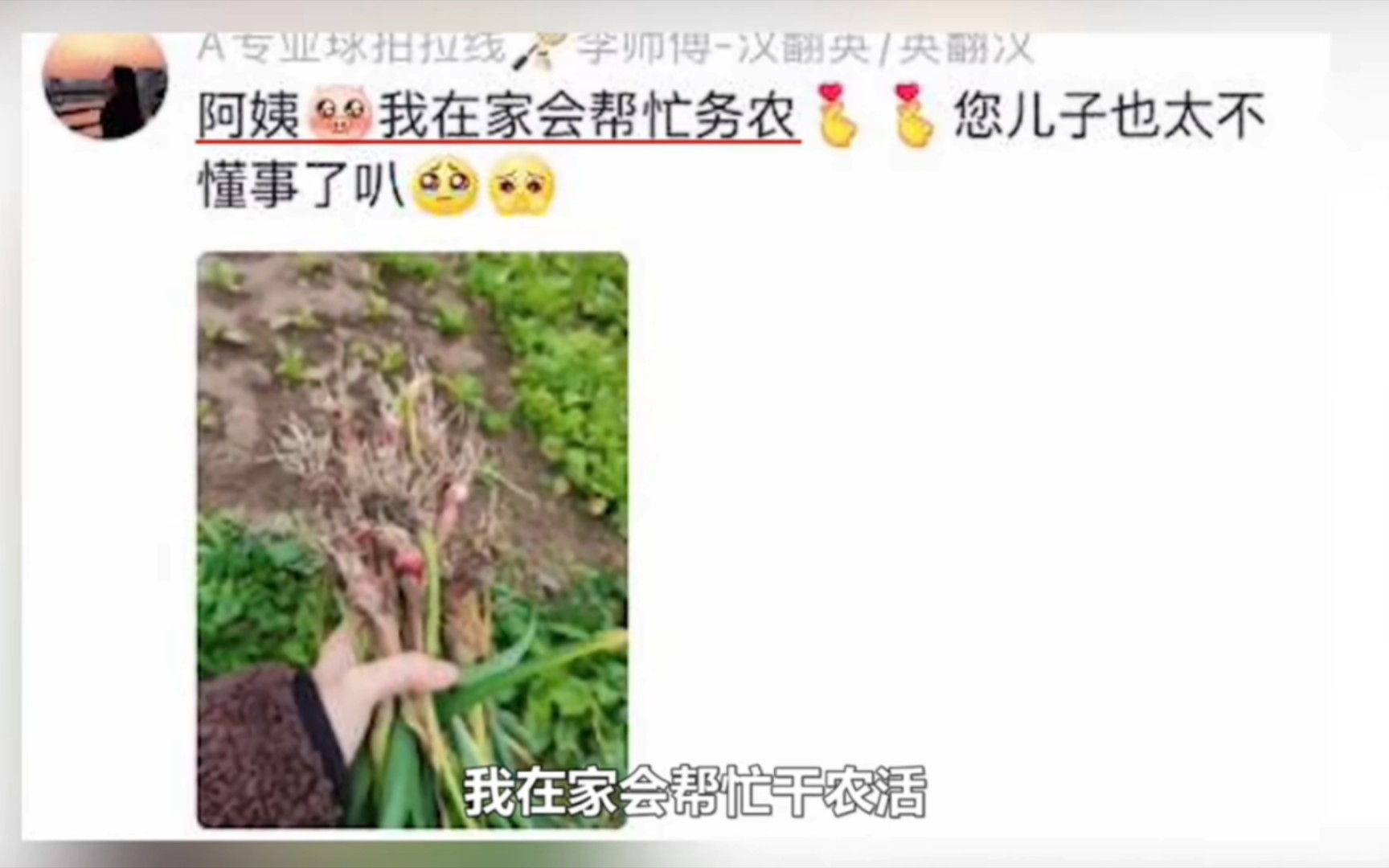 [图]网友那些夺笋行为