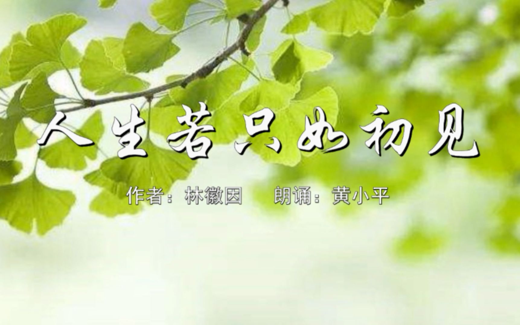 散文《人生若只如初见》/ 作者:林徽因;朗诵:黄小平哔哩哔哩bilibili