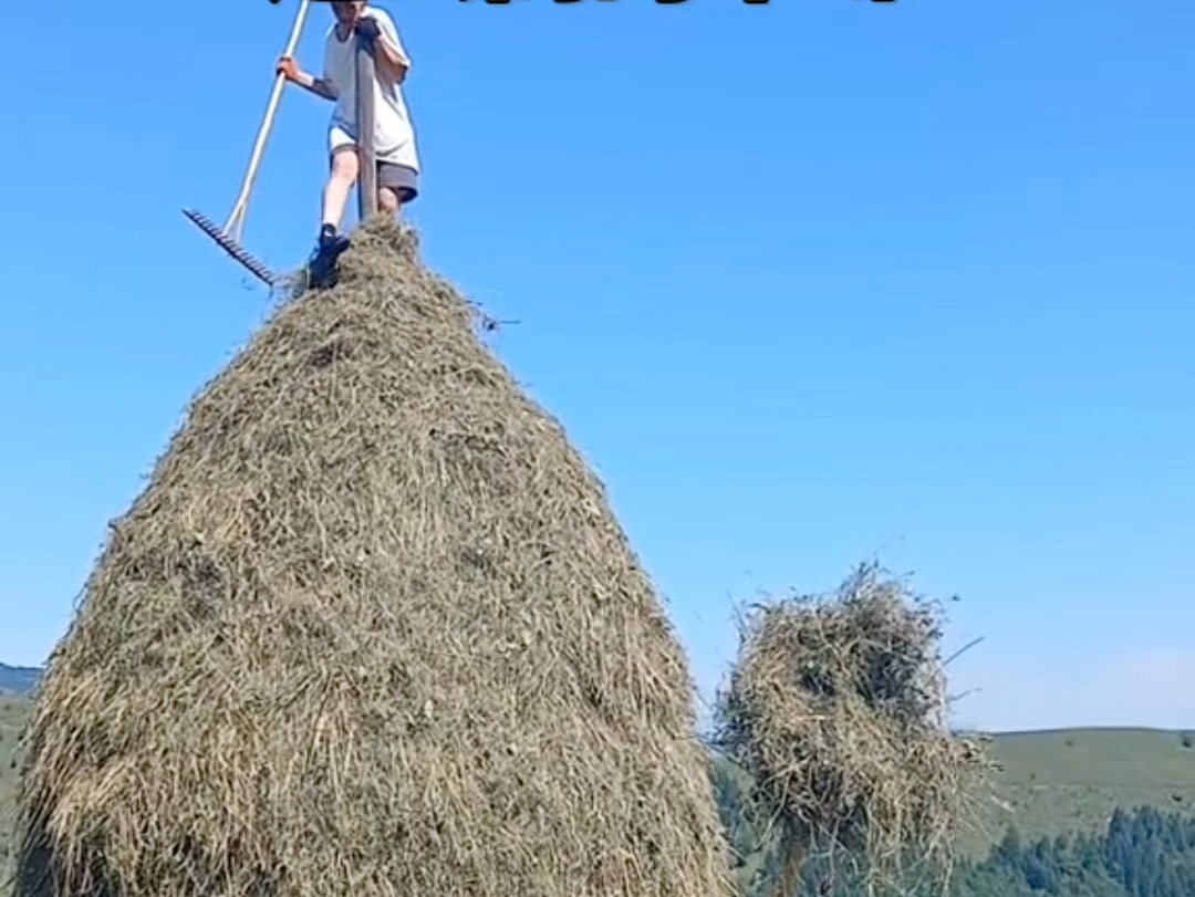 这么高的草垛,根本就不怕下雨
