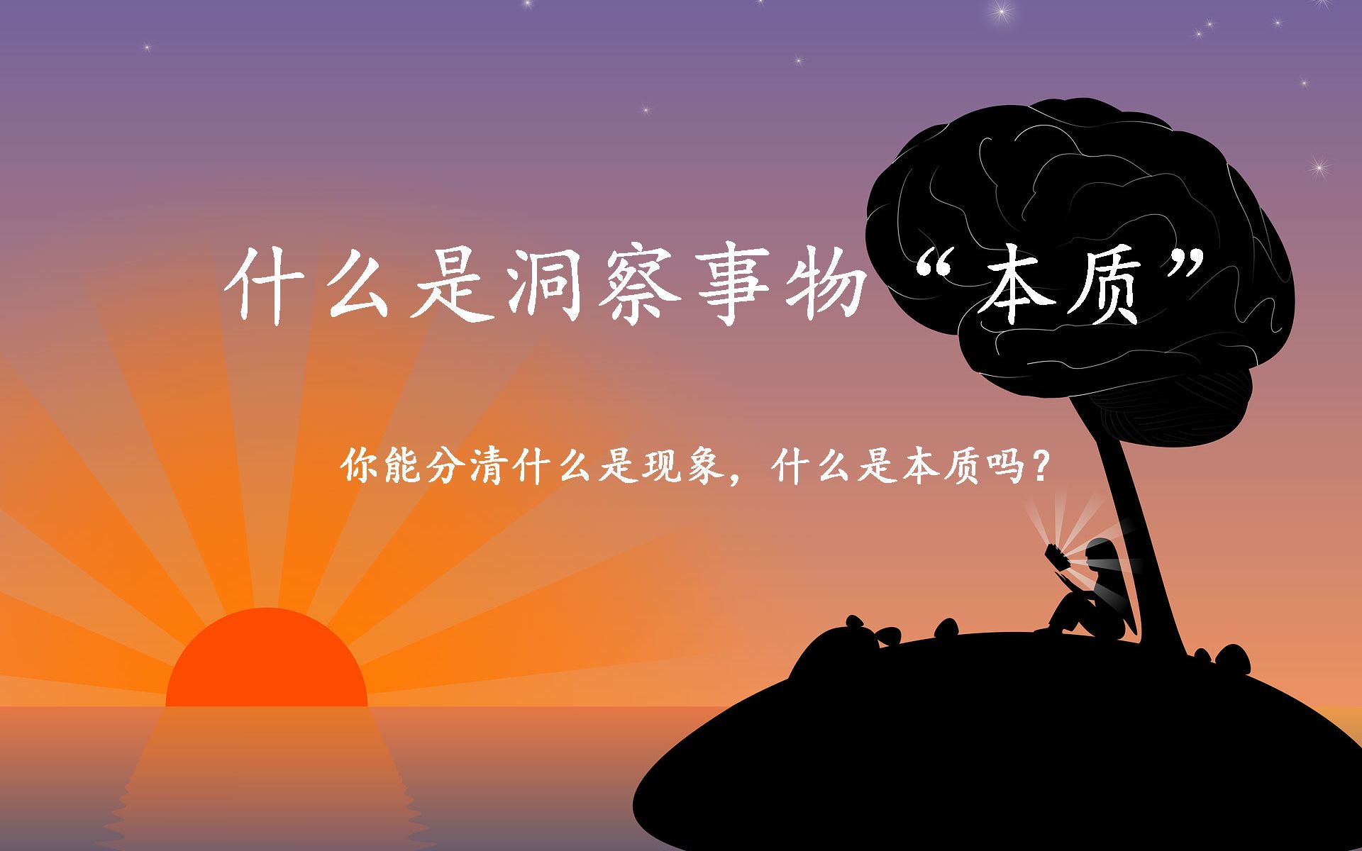 真正的高手,都拥有“洞察事物本质”的能力,到底什么是洞察事物本质?哔哩哔哩bilibili