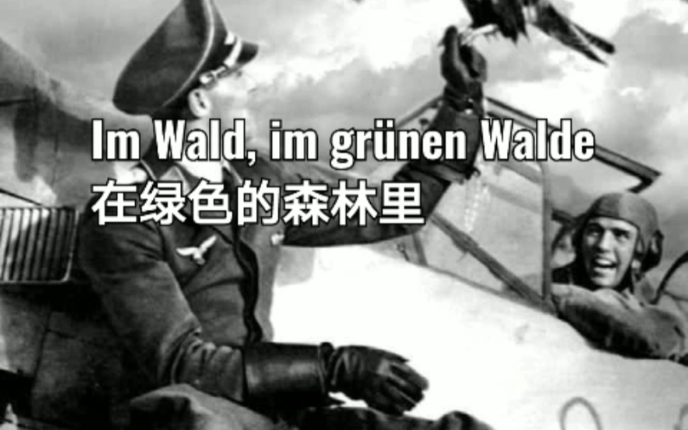 [图]德国民歌《Im Wald, im grünen Walde》在绿色的森林里（又名《罗尔之歌》）