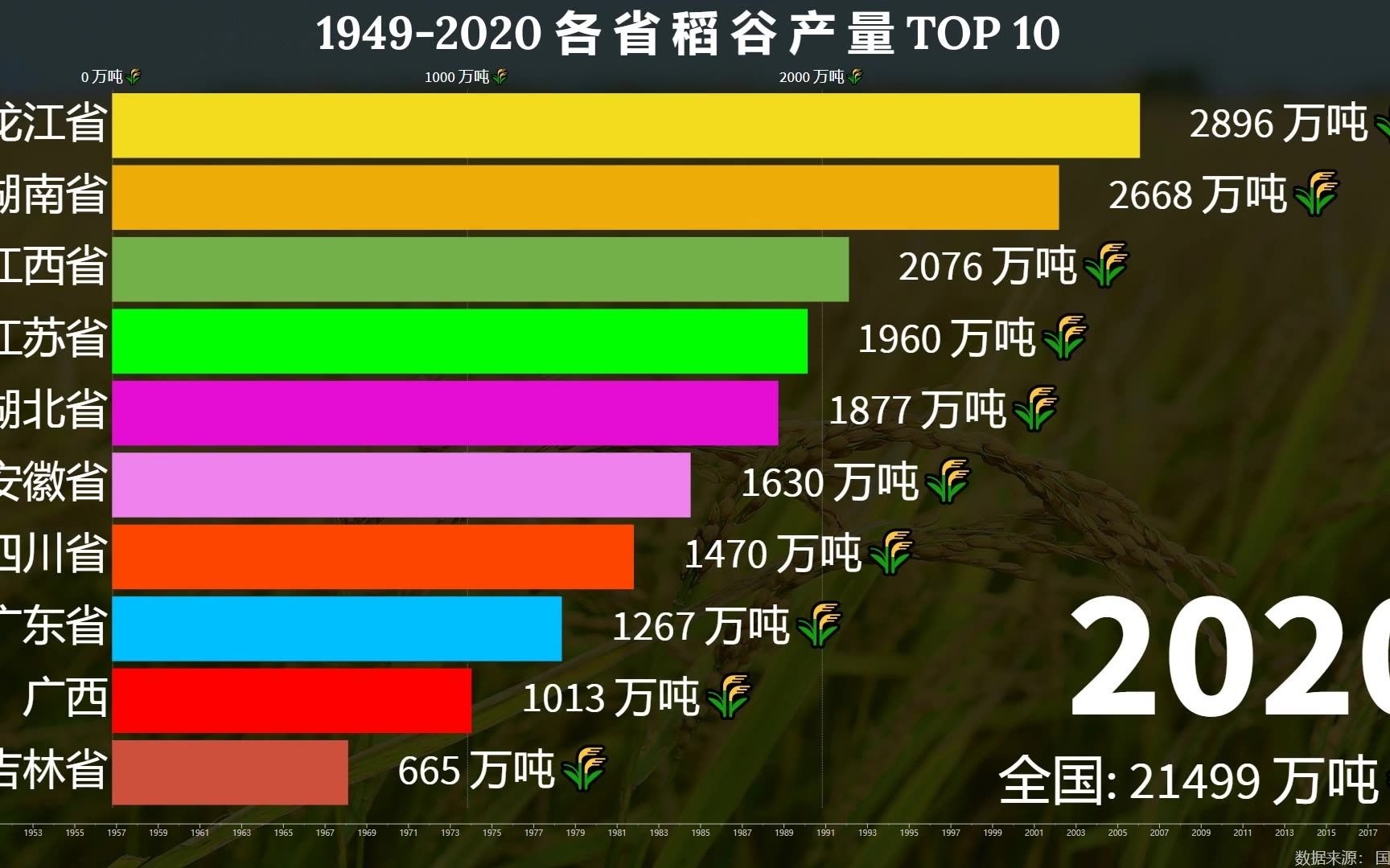 19492020各省稻谷产量排行榜看看哪里才是真正意义上的鱼米之乡