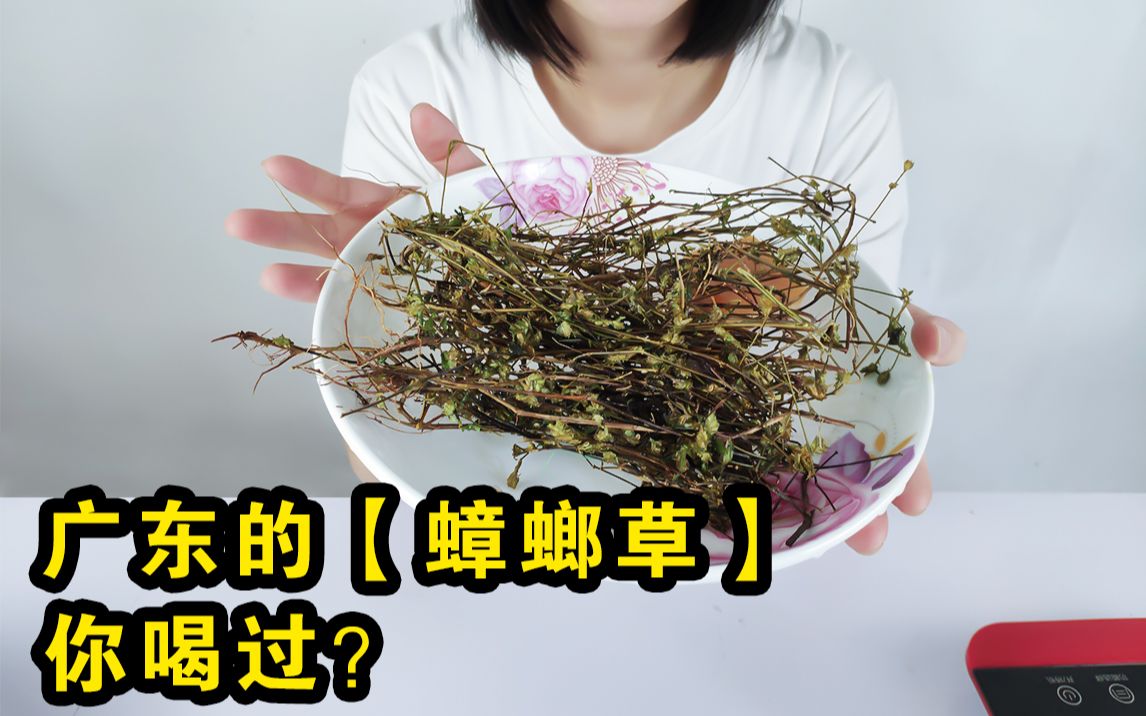 蟑螂草你喝过