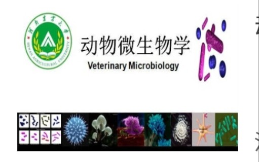 [图]动物微生物学-河南农业大学