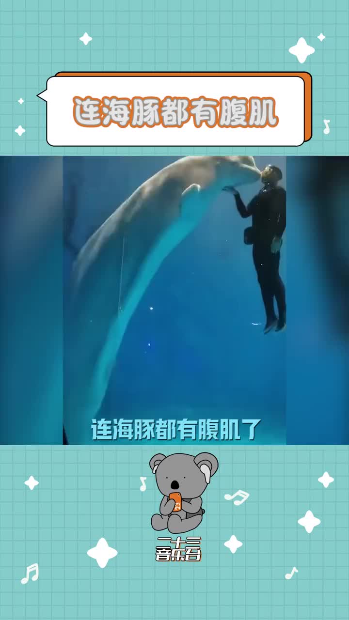 海豚的天敌图片