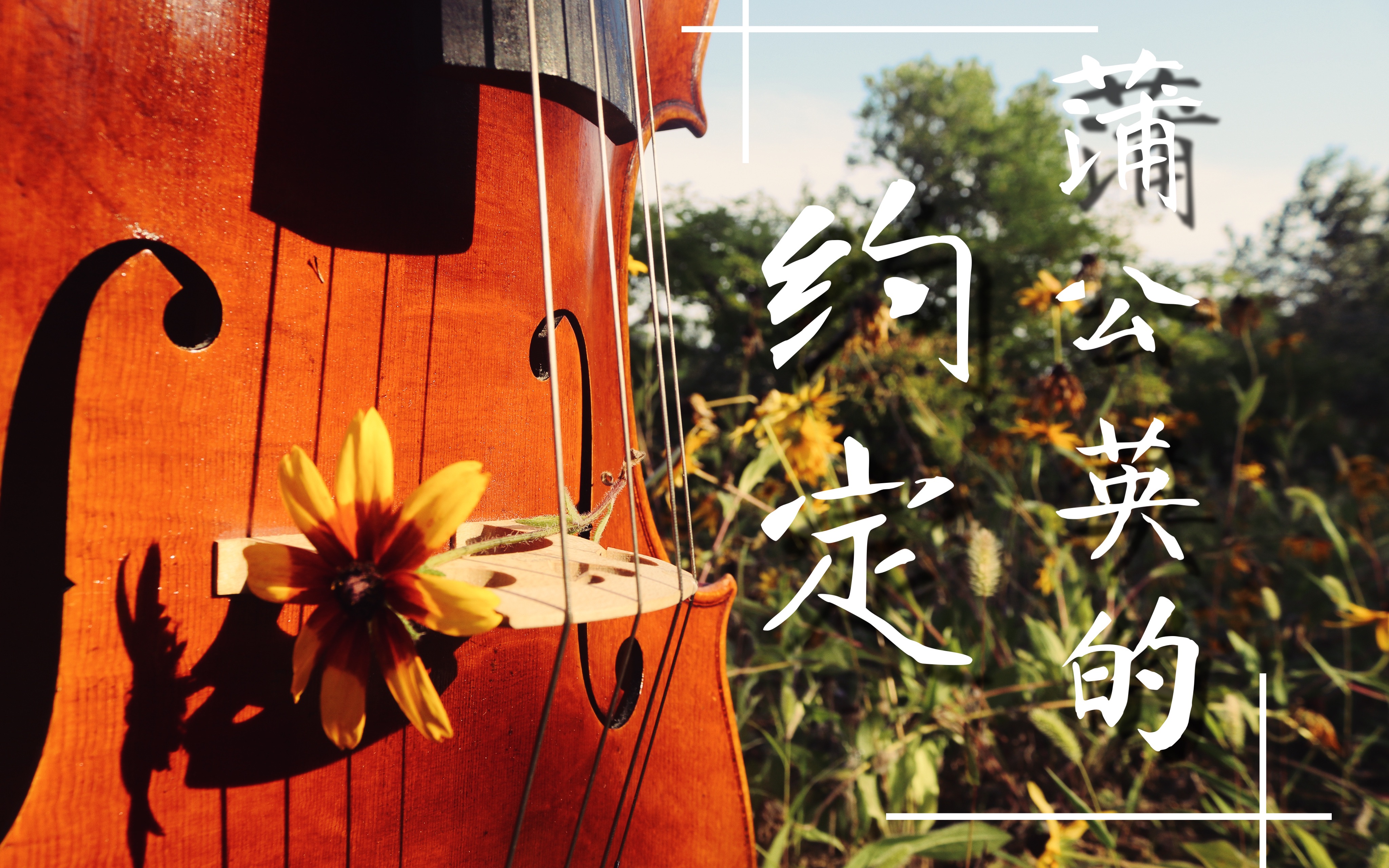 活动  【蒲公英的约定】 大提琴的绝美温柔～