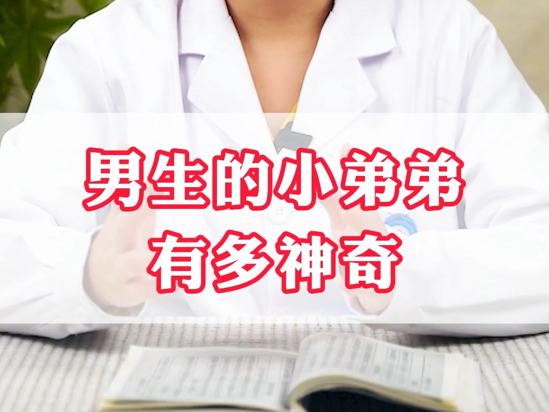 男生的小弟弟有多神奇?哔哩哔哩bilibili