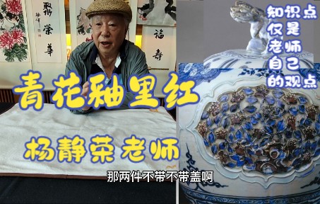 【瓷器知识点】杨静荣老师讲解有关青花釉里红的有些自己的研究学术观点,大家自己也可以发表自己的研究观点哔哩哔哩bilibili