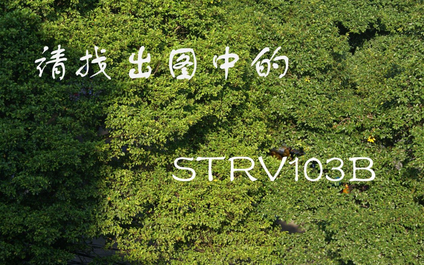 坦克世界什么草丛里有个越共103b输出九千一夫当关