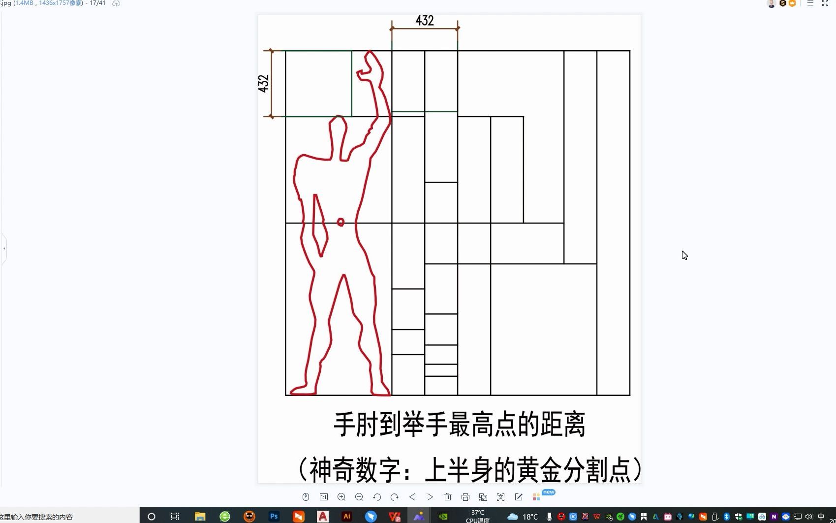 B.A.本质.1.比例.2.关于柯布西耶的模度20211027(0005)哔哩哔哩bilibili