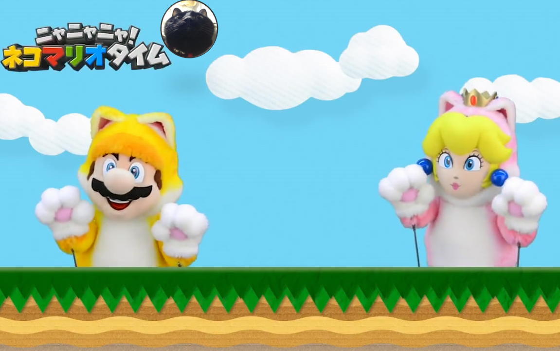 大喵中字喵喵喵猫咪马里奥玛丽奥时间第89话内含老任官方的马里奥赛车