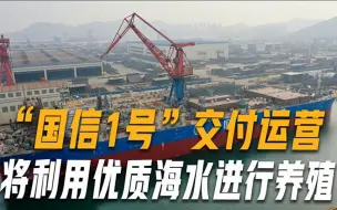 Tải video: 10万吨级养殖船工船在青岛交付，首批养殖大黄鱼预计秋季起捕上市