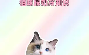 Download Video: 猫咪踩奶冷知识