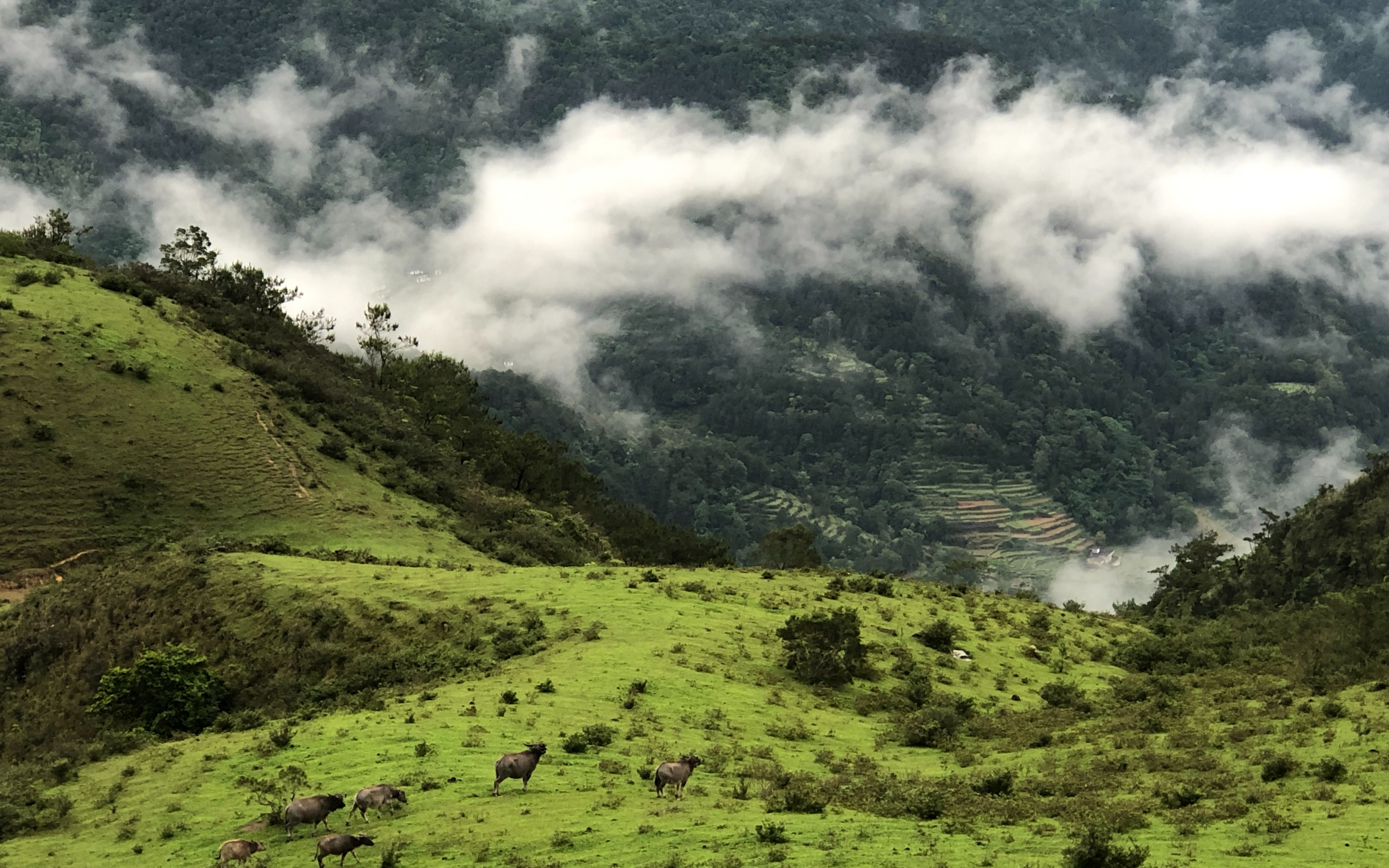徒步 | 鸡笼顶大草原