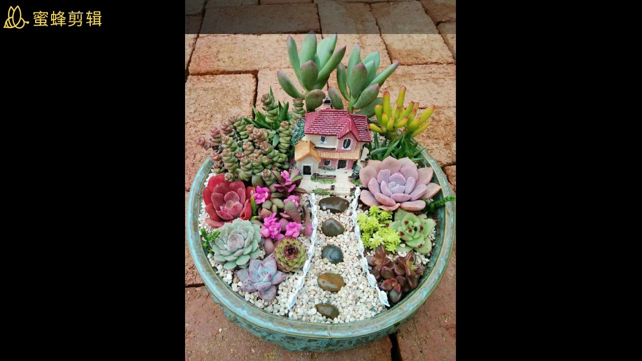 微景观diy活动 苔藓微景观生态瓶diy 承接深圳多肉微景观diy沙龙