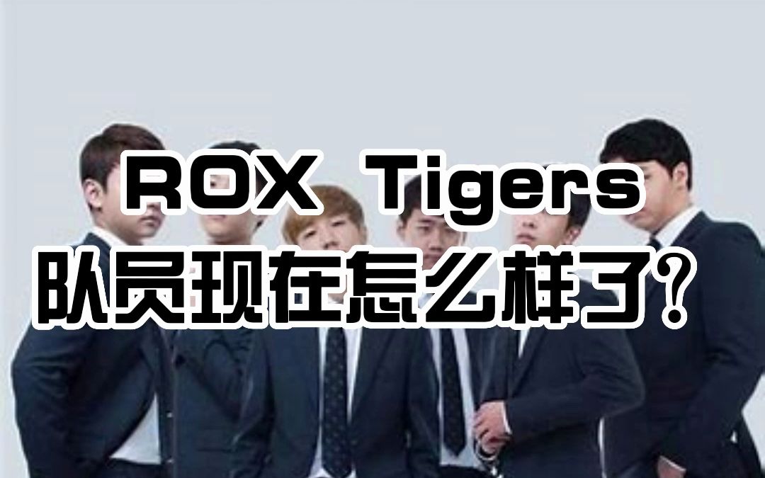 【LOL热知识】ROX Tigers队员现在怎么样了?电子竞技热门视频