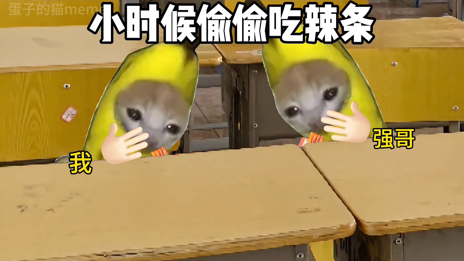 小时候爱干的事（合集）-蛋子的猫meme-蛋子的猫meme-哔哩哔哩视频